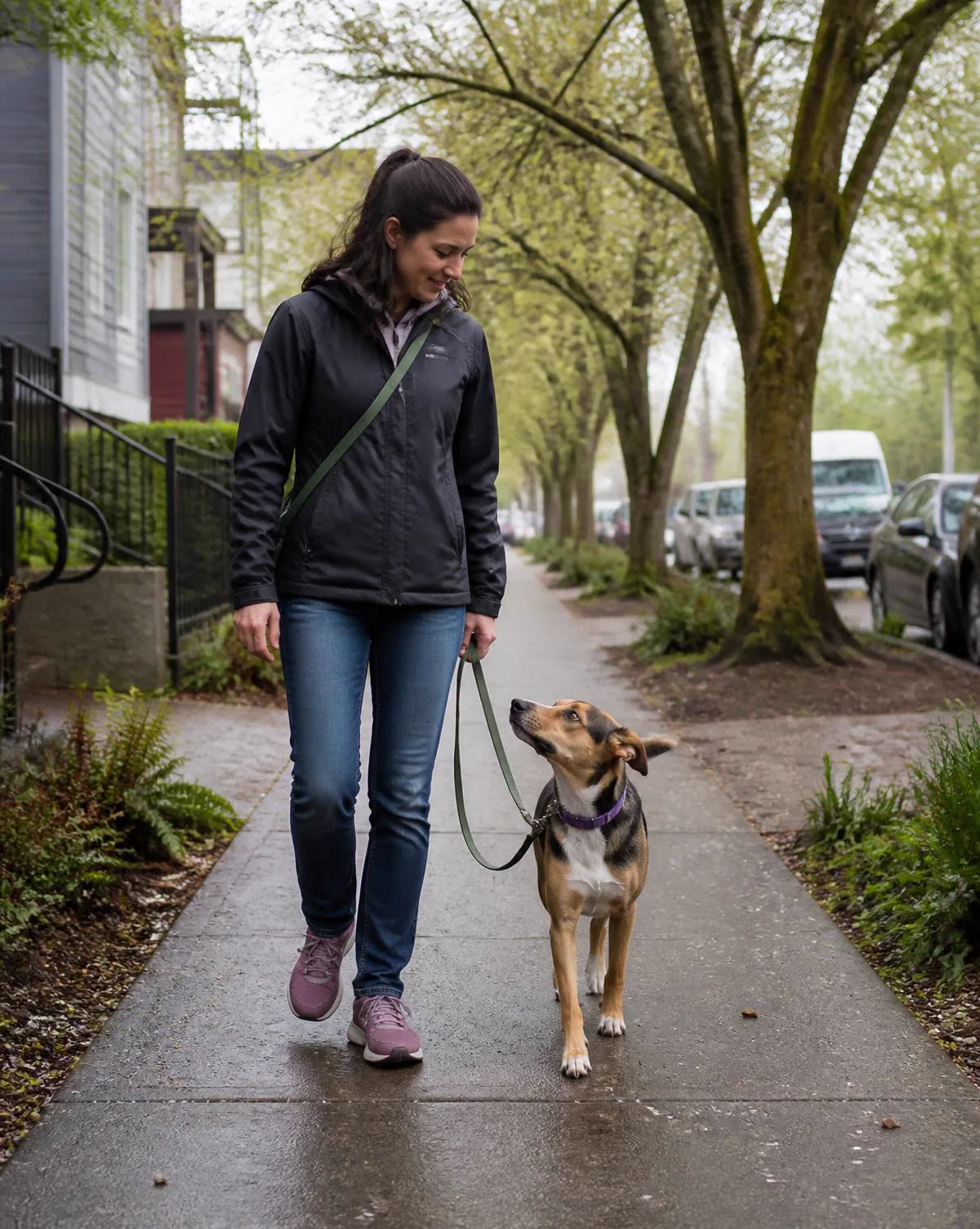 A dog walking politely on a loose leash beside its owner on a sidewalk