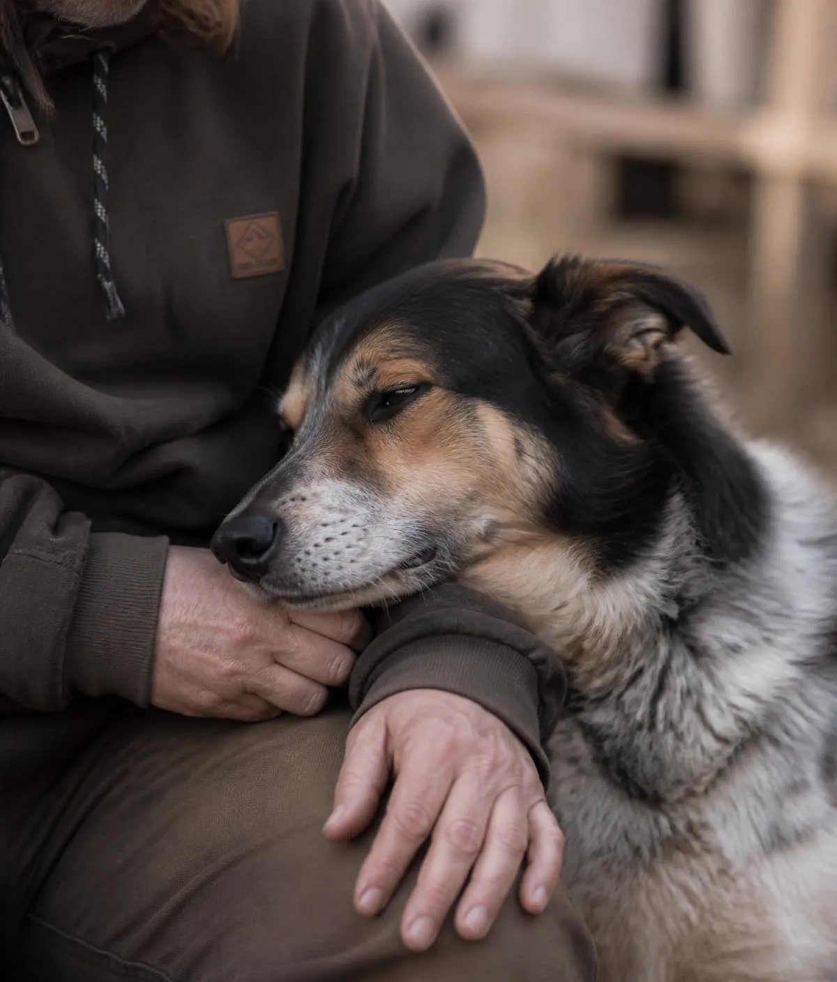 A gentle close moment between a trainer and a relaxed dog