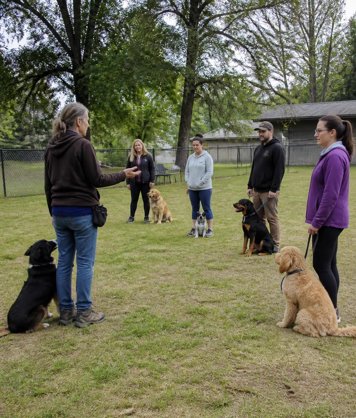 A small dog training class with several owners and their dogs
