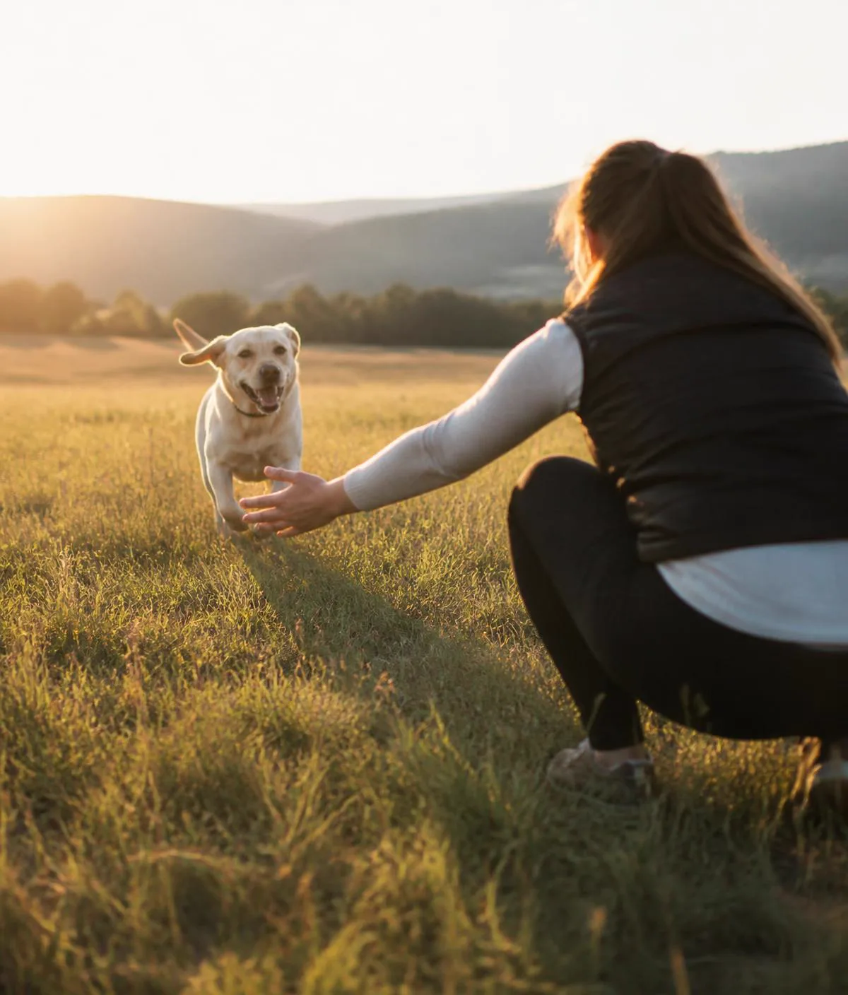 A joyful dog running beside its owner in an open field